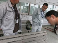 IMG (40)
